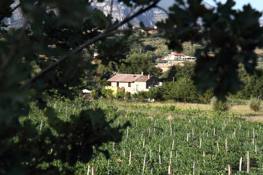 B&B Panta Rei Cicerale Exteriér fotografie